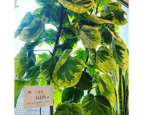 598BB710-98CA-4C4E-B98B-BCEC42C01E7E